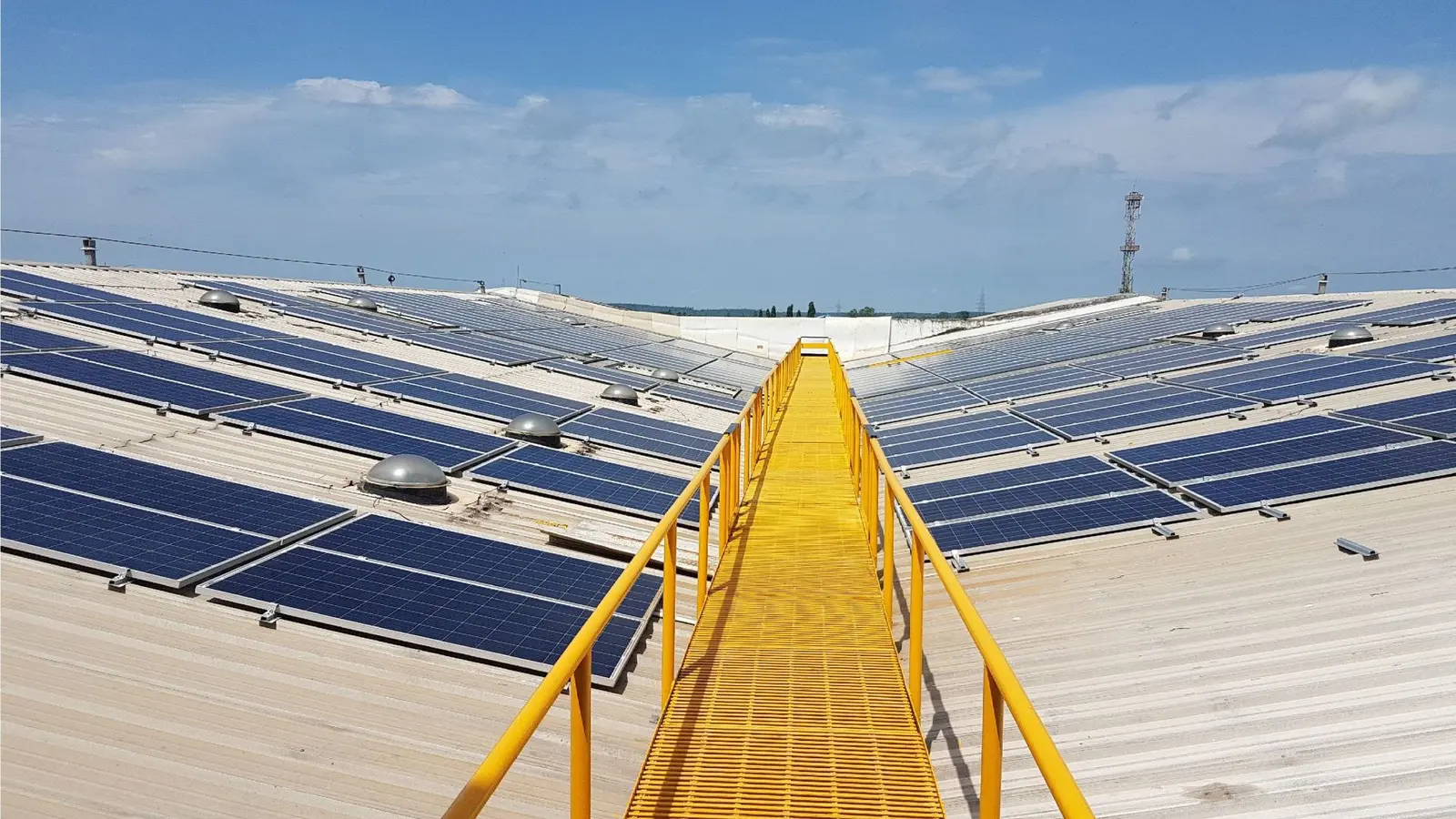 Multiple solar panels with a yellow walkway.