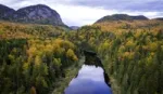 Aerial view of a river snaking through a dense forest on both banks with mountains in the distance